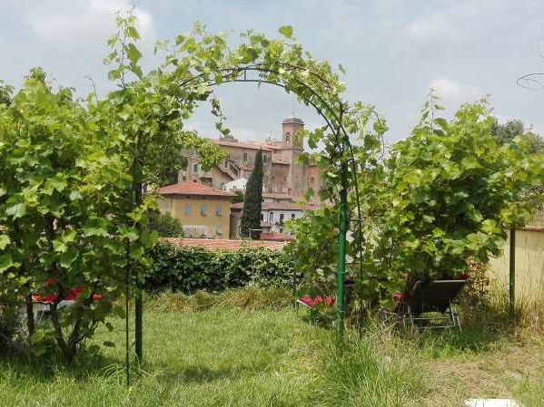 Garten und Weinspalier mit Blick auf Dorf in Toskana