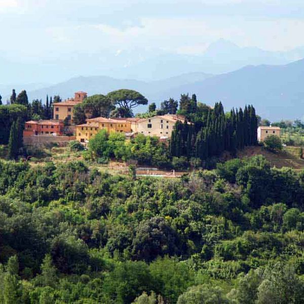 Drei Ferienwohnungen und ein Haus in der Toskana mit Pool und schöner Aussicht